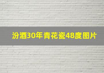 汾酒30年青花瓷48度图片