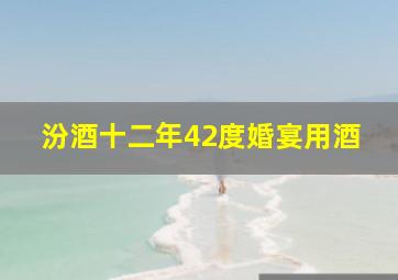 汾酒十二年42度婚宴用酒