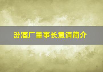 汾酒厂董事长袁清简介