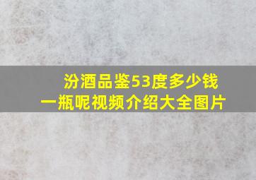 汾酒品鉴53度多少钱一瓶呢视频介绍大全图片