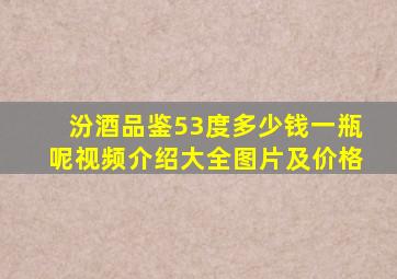 汾酒品鉴53度多少钱一瓶呢视频介绍大全图片及价格