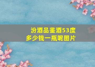 汾酒品鉴酒53度多少钱一瓶呢图片