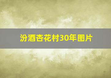 汾酒杏花村30年图片