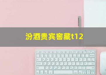 汾酒贵宾窖藏t12