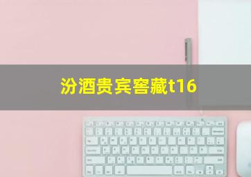 汾酒贵宾窖藏t16