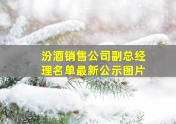 汾酒销售公司副总经理名单最新公示图片