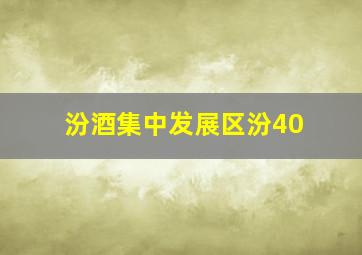 汾酒集中发展区汾40