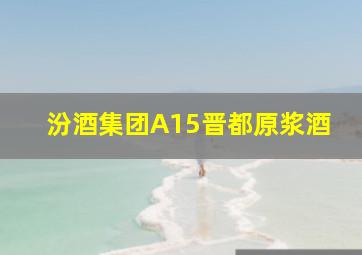 汾酒集团A15晋都原浆酒