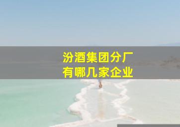 汾酒集团分厂有哪几家企业