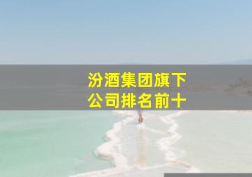 汾酒集团旗下公司排名前十