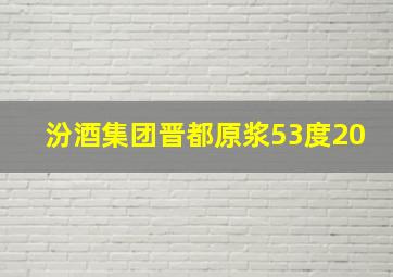 汾酒集团晋都原浆53度20