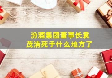 汾酒集团董事长袁茂清死于什么地方了