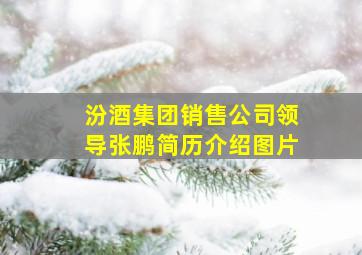 汾酒集团销售公司领导张鹏简历介绍图片