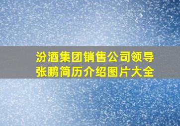 汾酒集团销售公司领导张鹏简历介绍图片大全