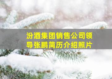 汾酒集团销售公司领导张鹏简历介绍照片