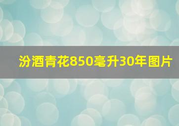 汾酒青花850毫升30年图片