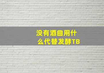 没有酒曲用什么代替发酵TB