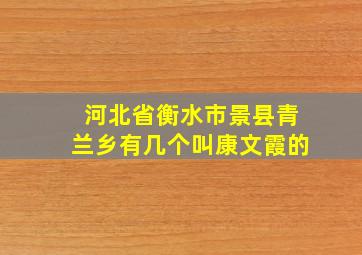 河北省衡水市景县青兰乡有几个叫康文霞的