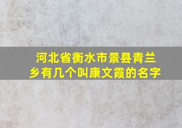 河北省衡水市景县青兰乡有几个叫康文霞的名字