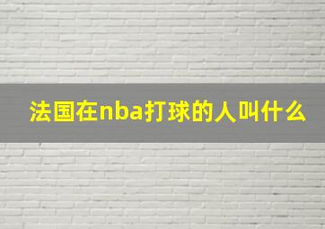 法国在nba打球的人叫什么