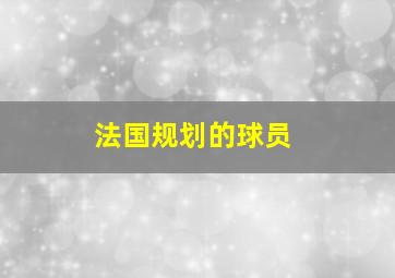 法国规划的球员