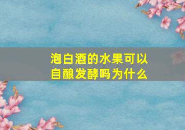 泡白酒的水果可以自酿发酵吗为什么