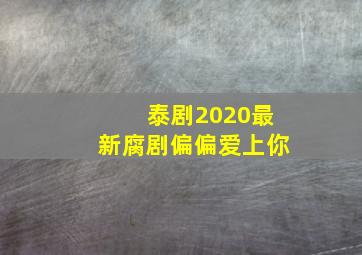 泰剧2020最新腐剧偏偏爱上你