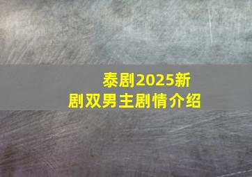 泰剧2025新剧双男主剧情介绍