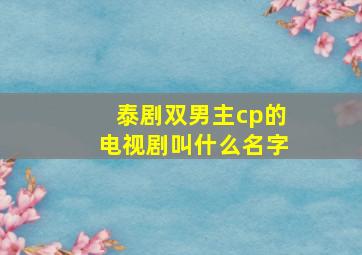 泰剧双男主cp的电视剧叫什么名字