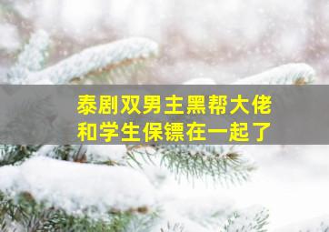 泰剧双男主黑帮大佬和学生保镖在一起了