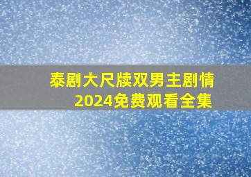 泰剧大尺牍双男主剧情2024免费观看全集