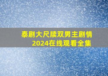 泰剧大尺牍双男主剧情2024在线观看全集