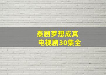 泰剧梦想成真电视剧30集全