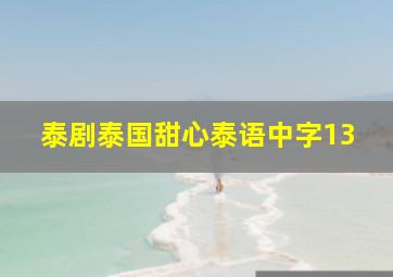 泰剧泰国甜心泰语中字13