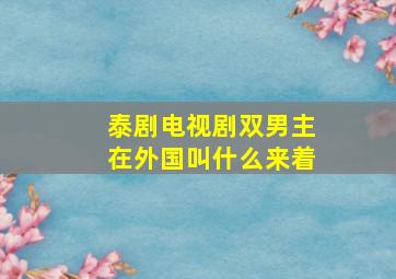 泰剧电视剧双男主在外国叫什么来着