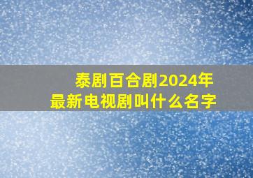 泰剧百合剧2024年最新电视剧叫什么名字