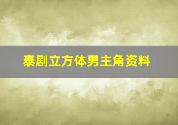 泰剧立方体男主角资料