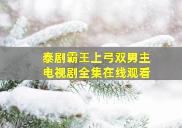 泰剧霸王上弓双男主电视剧全集在线观看