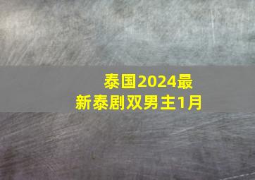 泰国2024最新泰剧双男主1月