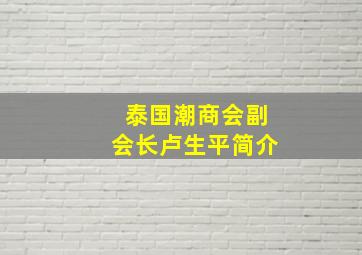 泰国潮商会副会长卢生平简介