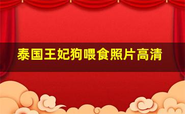 泰国王妃狗喂食照片高清