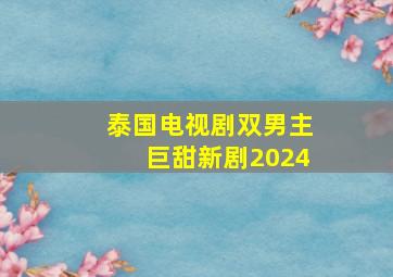 泰国电视剧双男主巨甜新剧2024