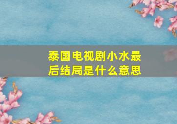 泰国电视剧小水最后结局是什么意思