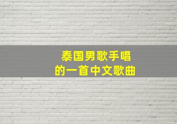 泰国男歌手唱的一首中文歌曲