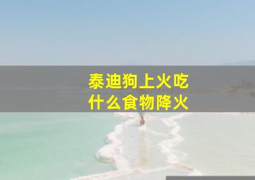 泰迪狗上火吃什么食物降火