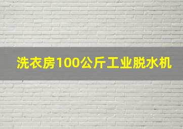 洗衣房100公斤工业脱水机