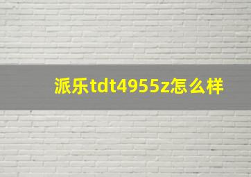 派乐tdt4955z怎么样