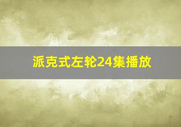 派克式左轮24集播放