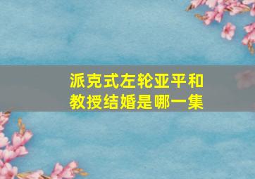 派克式左轮亚平和教授结婚是哪一集