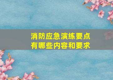 消防应急演练要点有哪些内容和要求